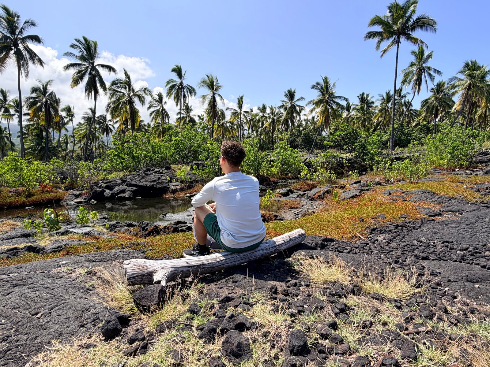 Nick Hayes, founder of Hayes Advertising, outdoors in Hawaii